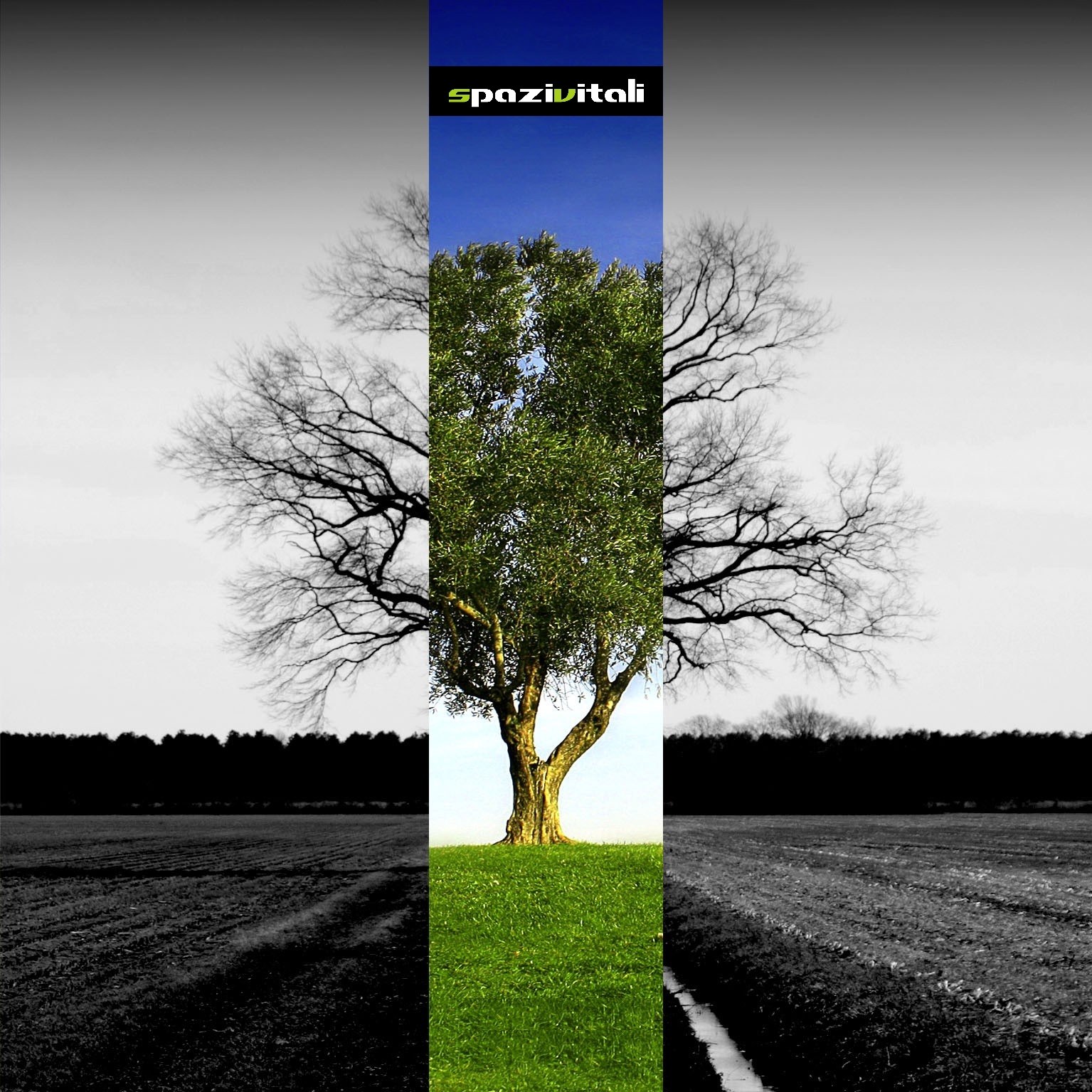 L’immagine di copertina del progetto.