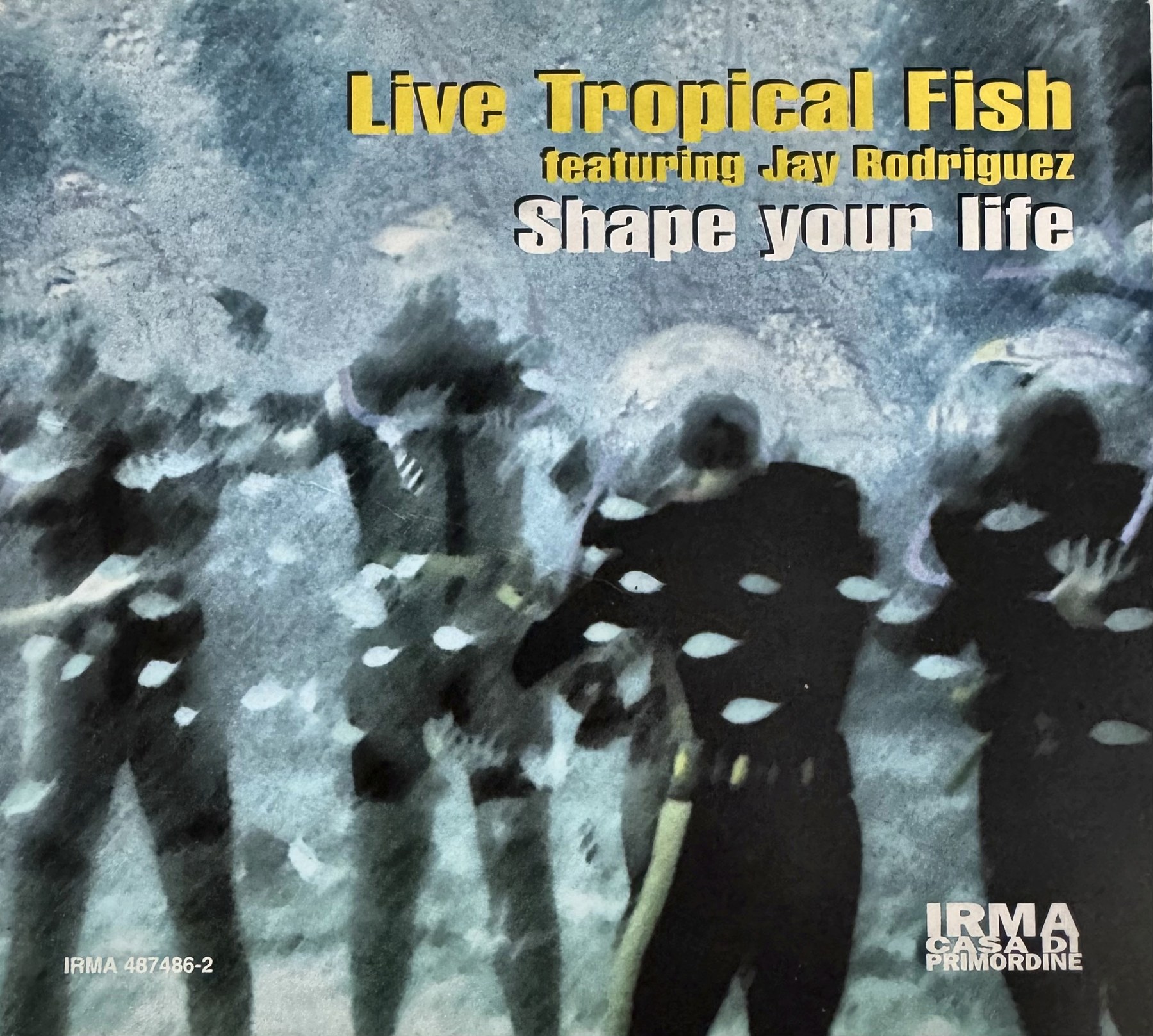 La copertina di Shape Your Life.